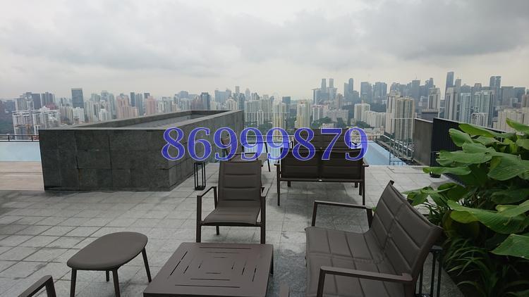 Alex Residences (D3), Apartment #160965532